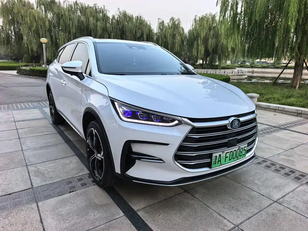 BYD Tang New Energy — фото 2