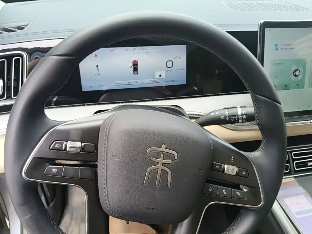 BYD Pro New Energy — фото 11