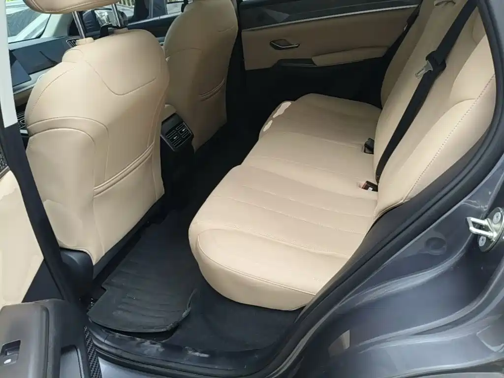 BYD Pro New Energy — фото 17