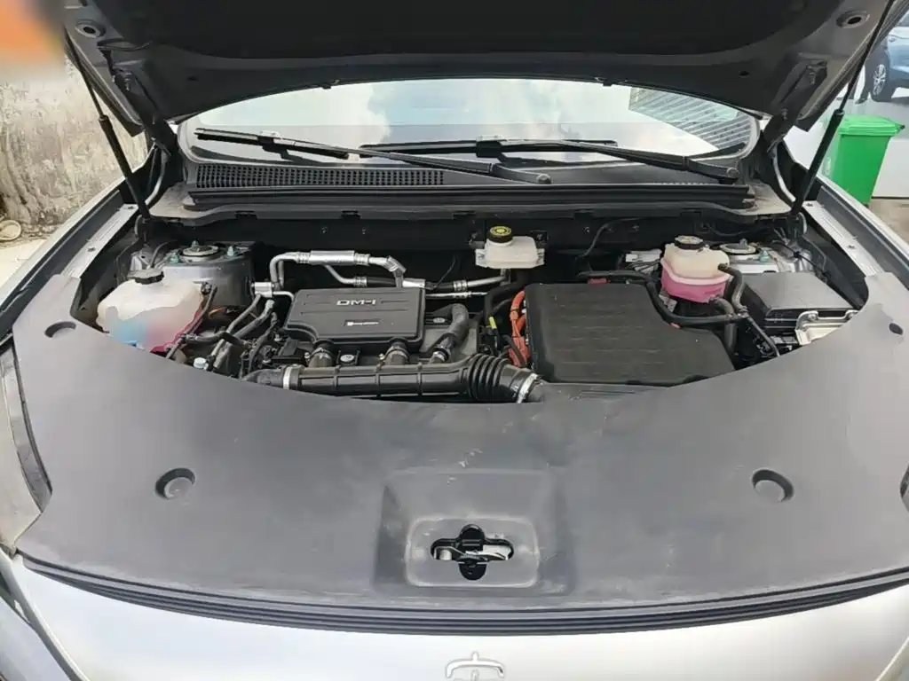 BYD Pro New Energy — фото 20