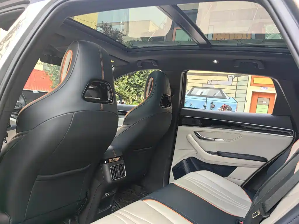 BYD PLUS New Energy — фото 13