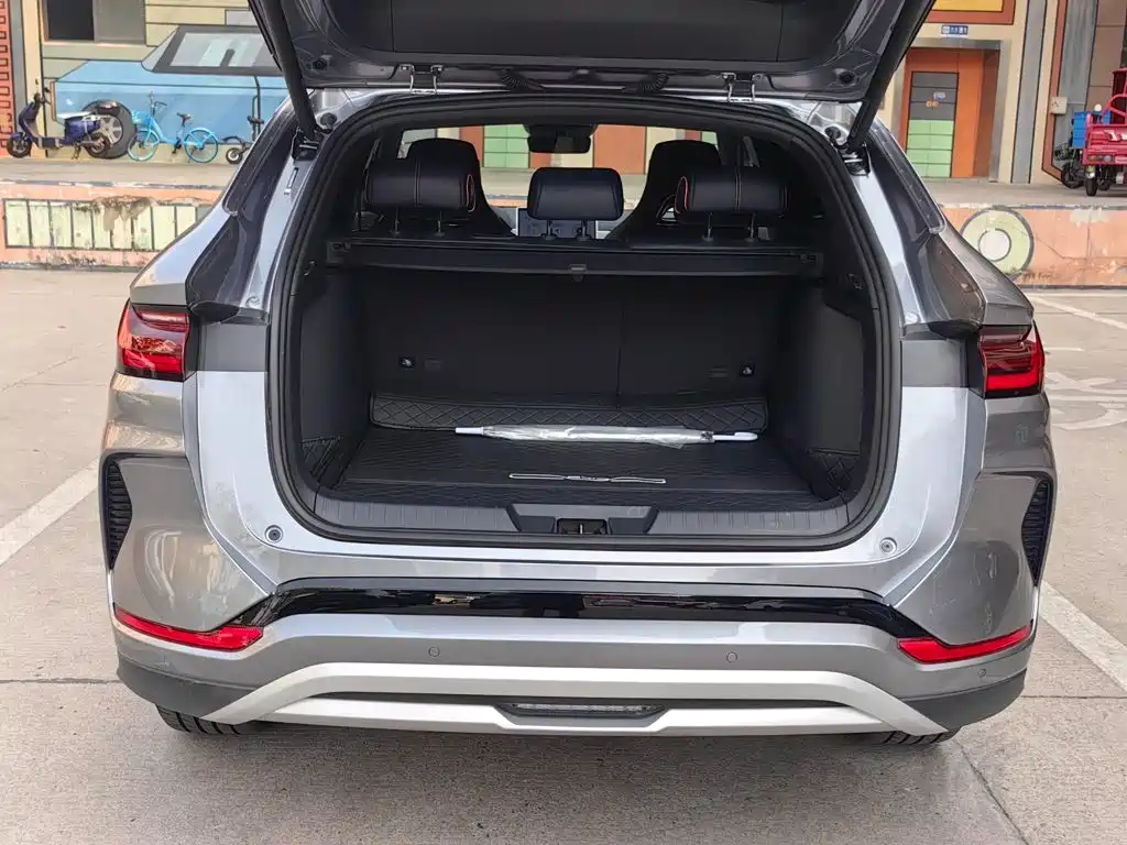 BYD PLUS New Energy — фото 18