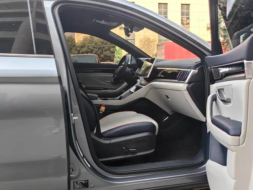 BYD PLUS New Energy — фото 19