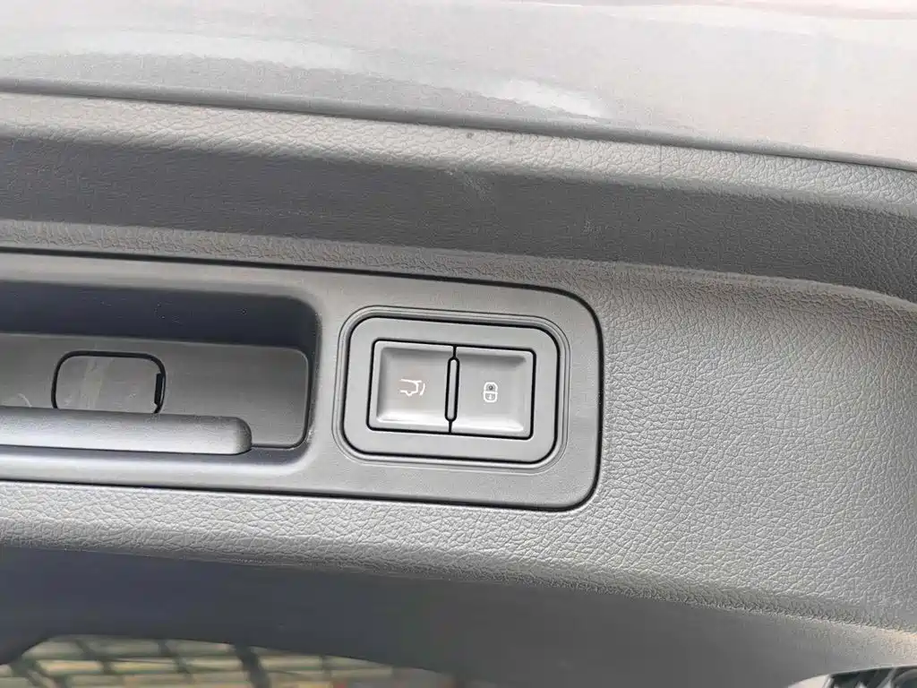 BYD PLUS New Energy — фото 20