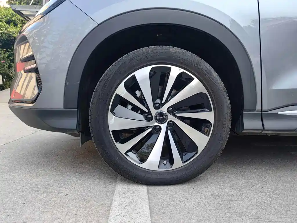 BYD PLUS New Energy — фото 21