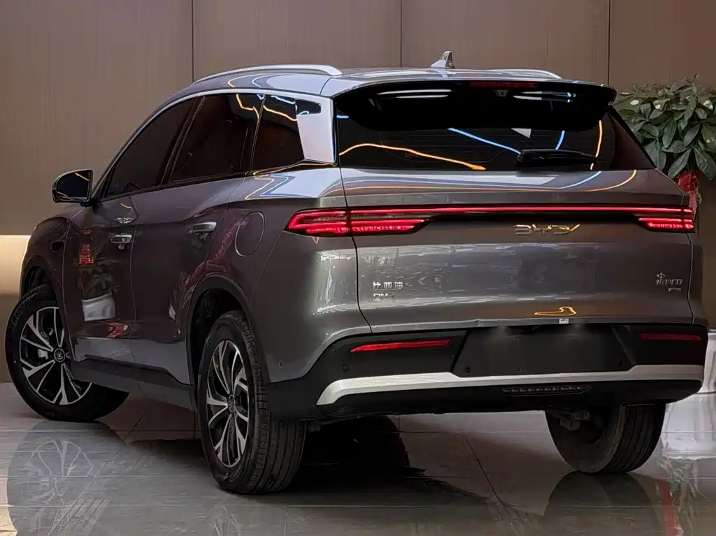 BYD Pro New Energy — фото 18