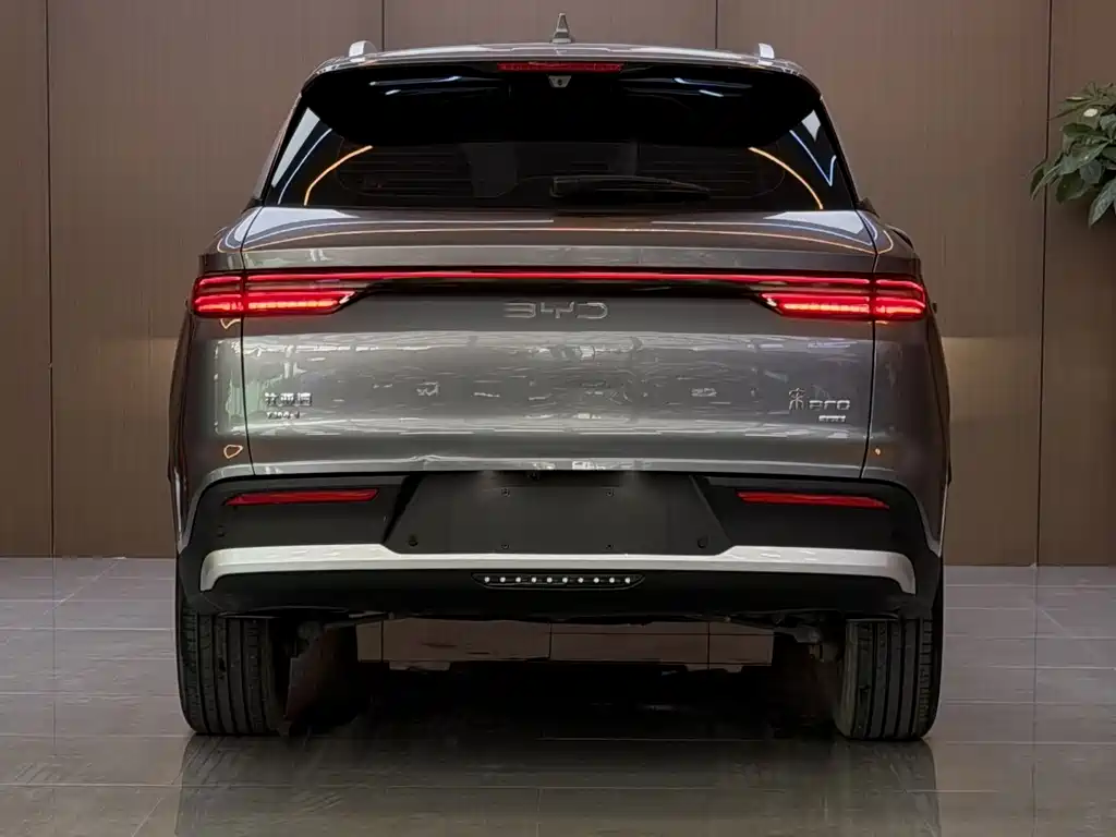 BYD Pro New Energy — фото 19
