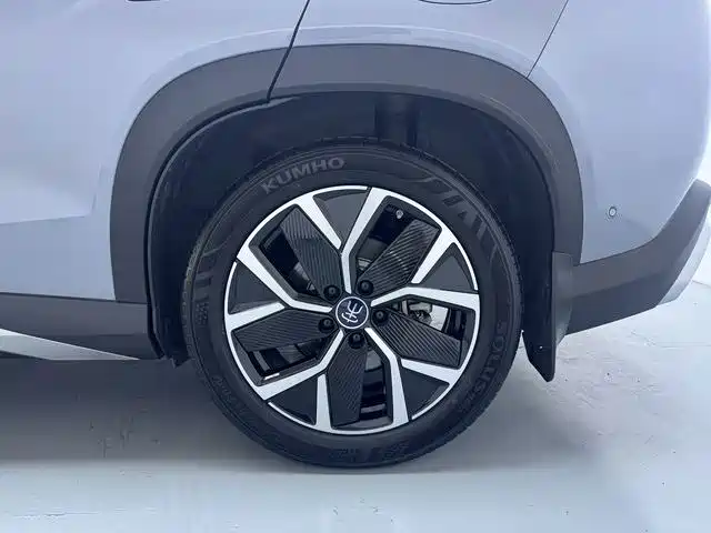 BYD L DM-i — фото 15