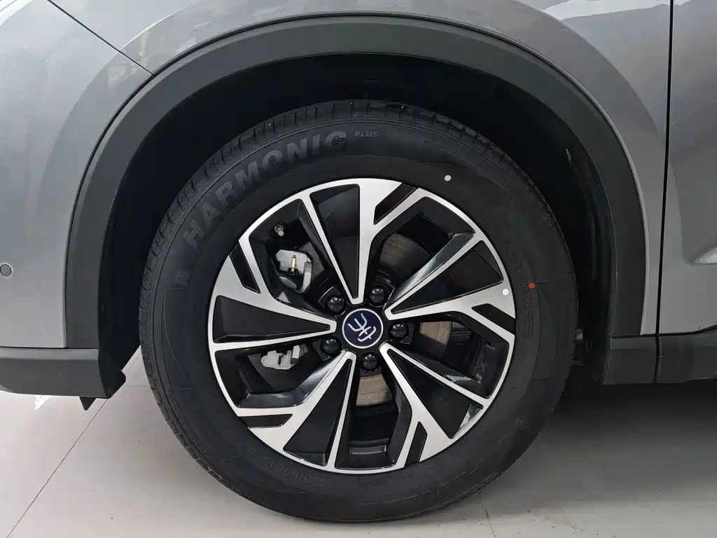 BYD Pro New Energy — фото 11