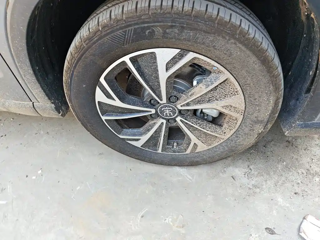 BYD Pro New Energy — фото 25