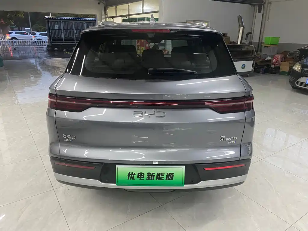 BYD Pro New Energy — фото 4
