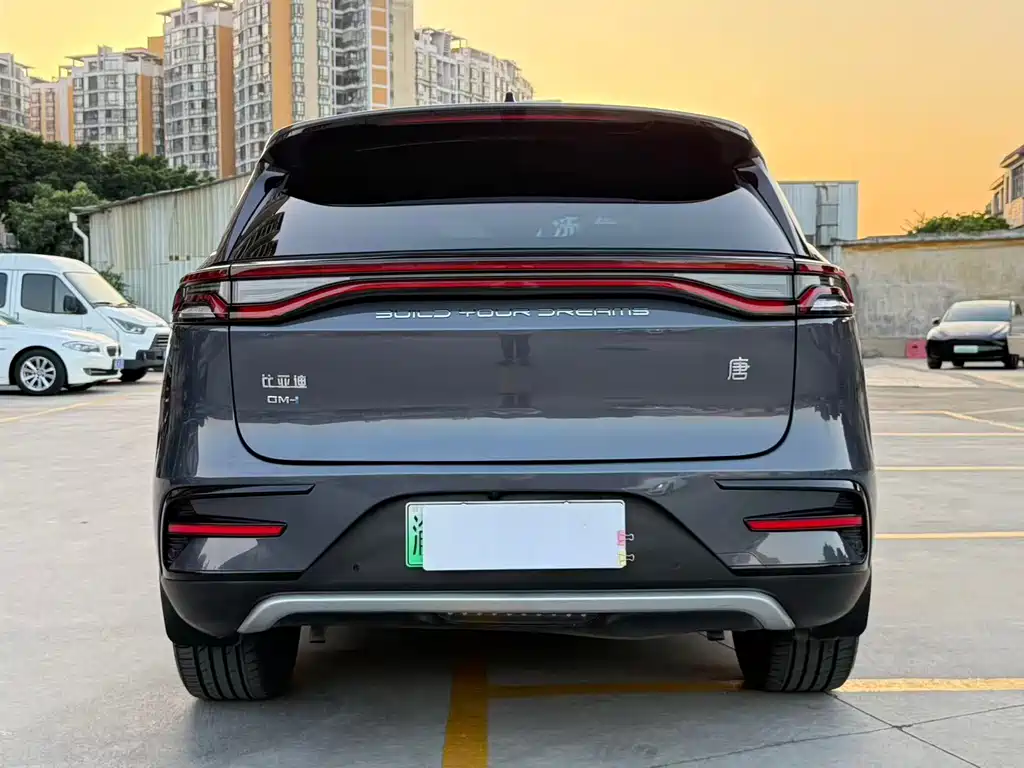 BYD Tang New Energy — фото 11