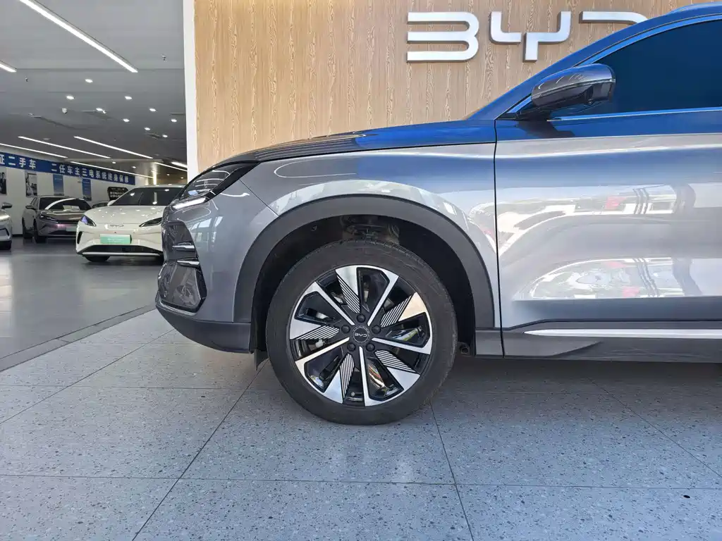 BYD PLUS New Energy — фото 4
