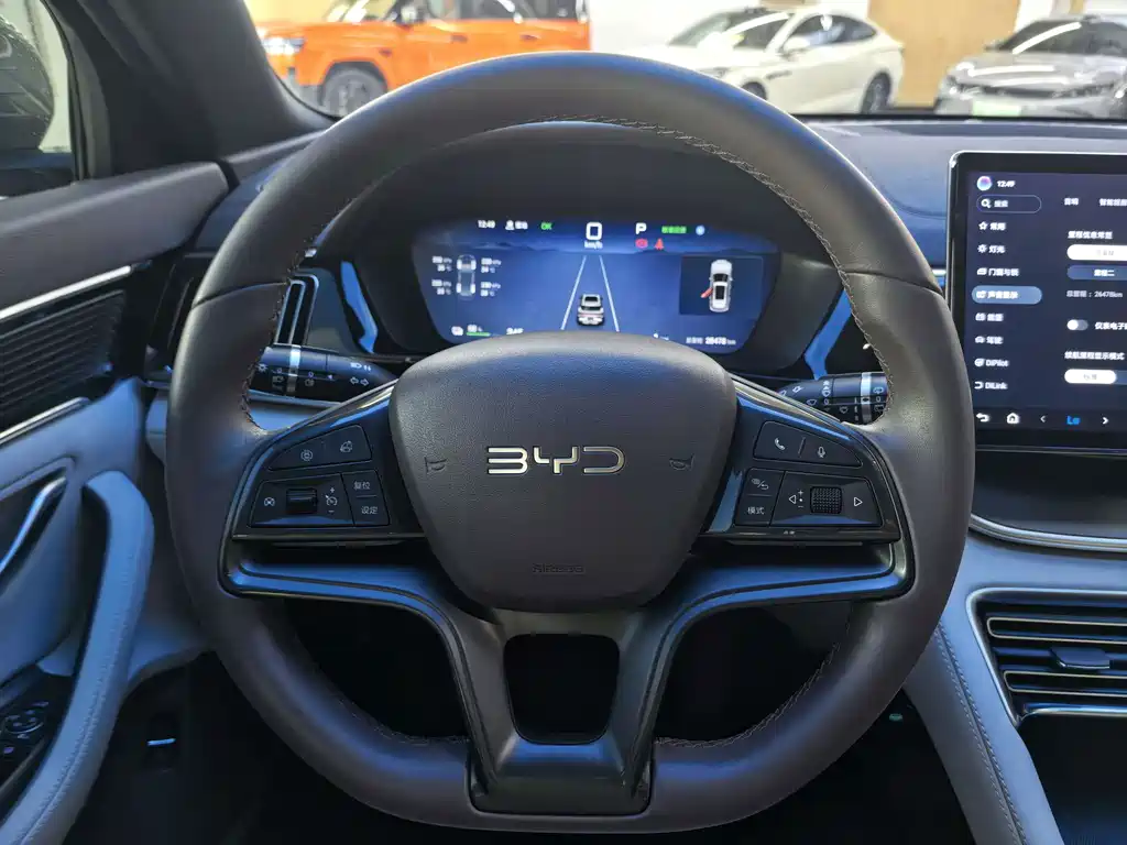 BYD PLUS New Energy — фото 8