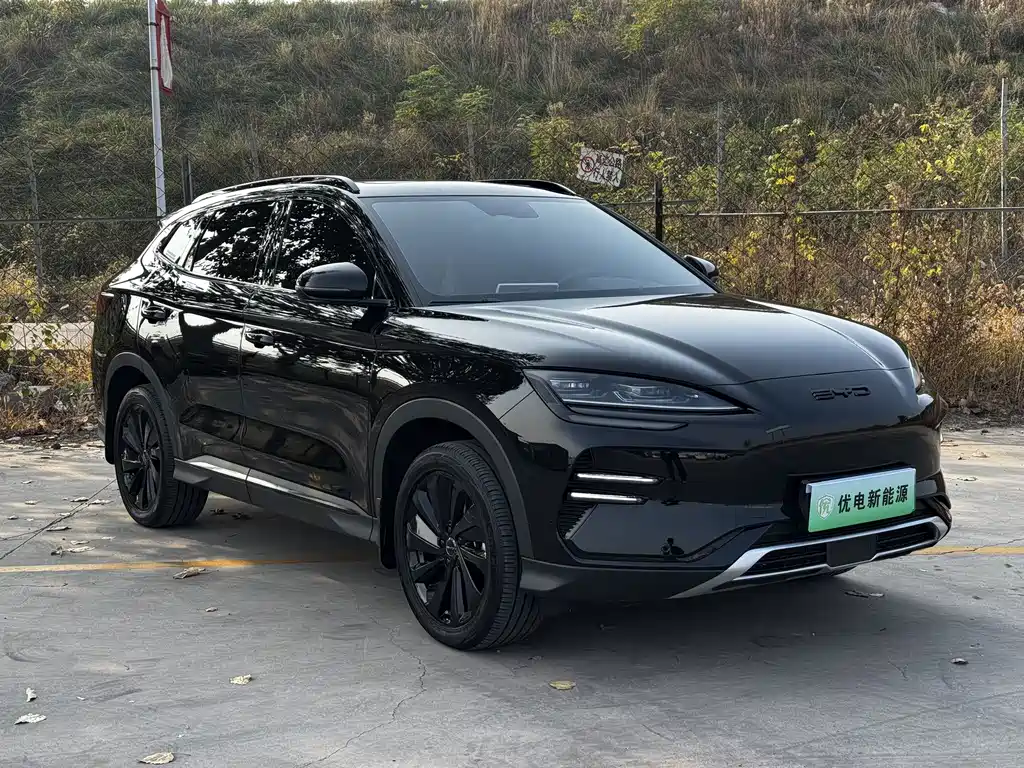 BYD PLUS New Energy — фото 3
