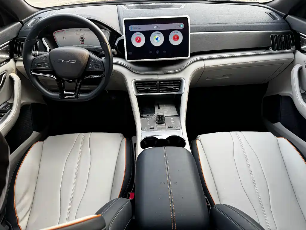 BYD PLUS New Energy — фото 23