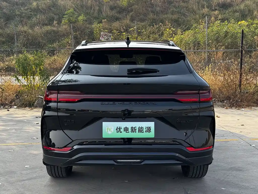 BYD PLUS New Energy — фото 4