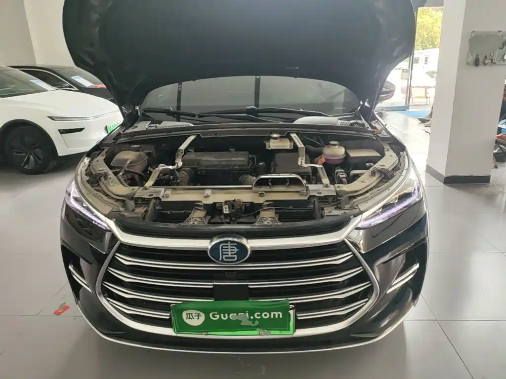BYD Tang New Energy — фото 20