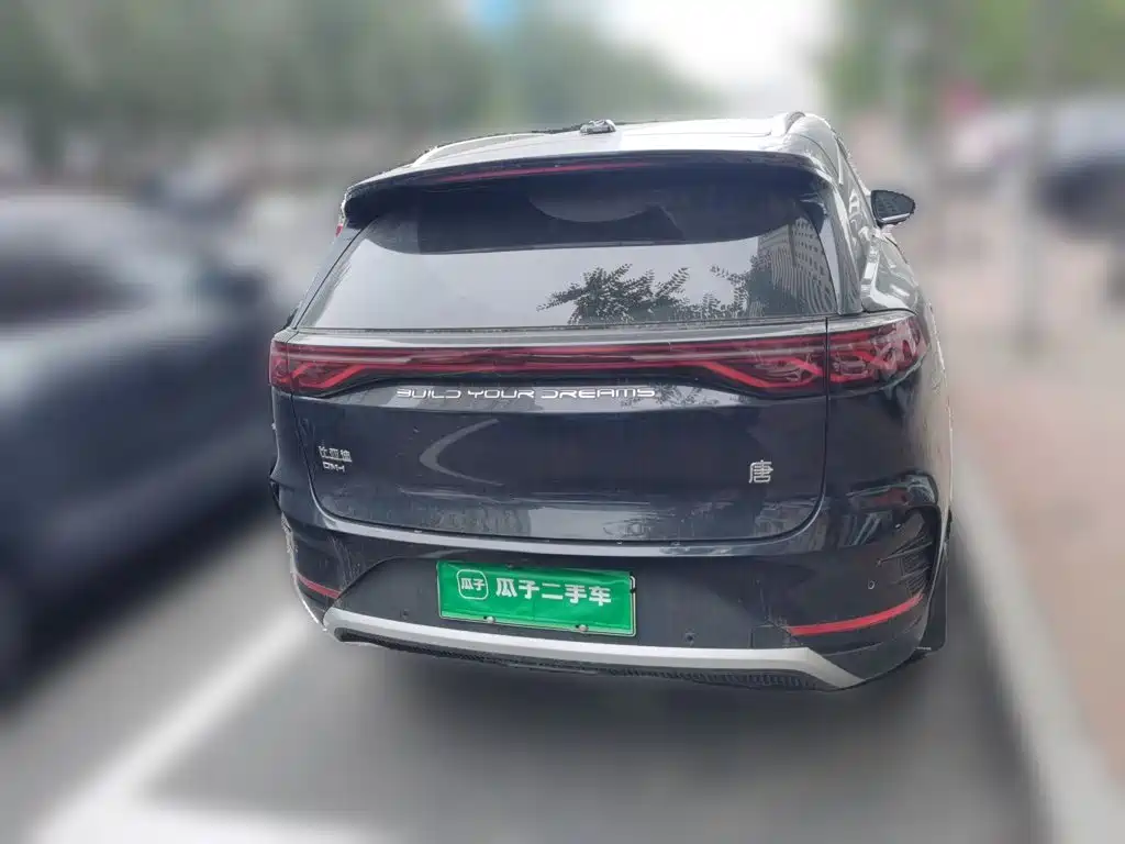 BYD Tang New Energy — фото 5