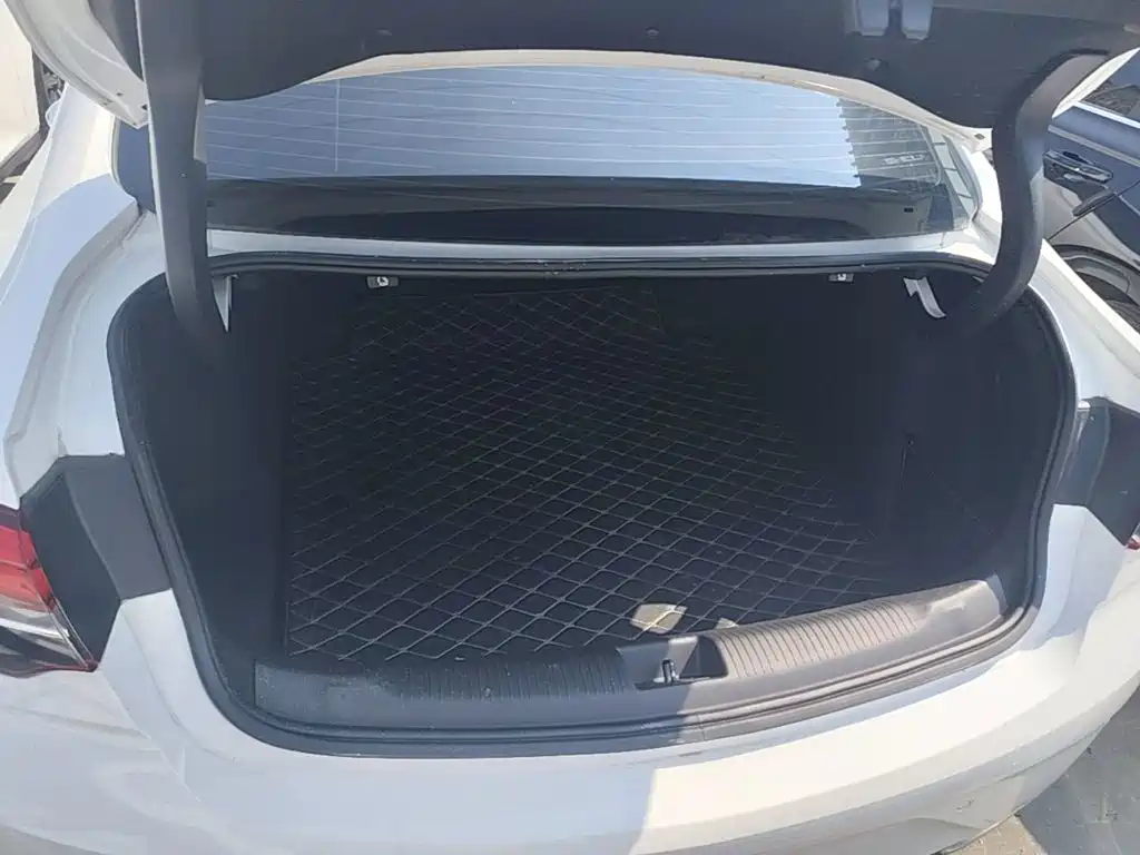 Buick Regal — фото 19