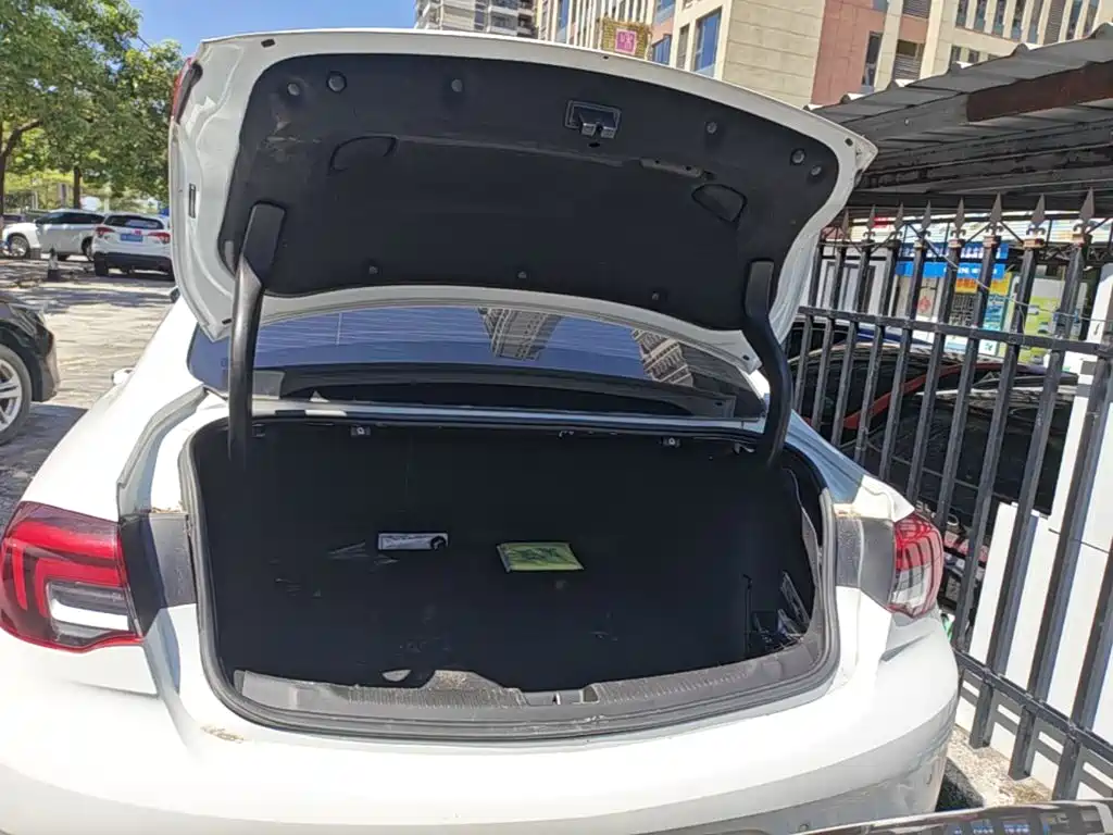 Buick Regal — фото 10