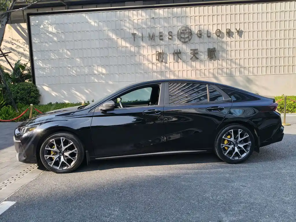 GAC Motor Shadow Leopard — фото 4