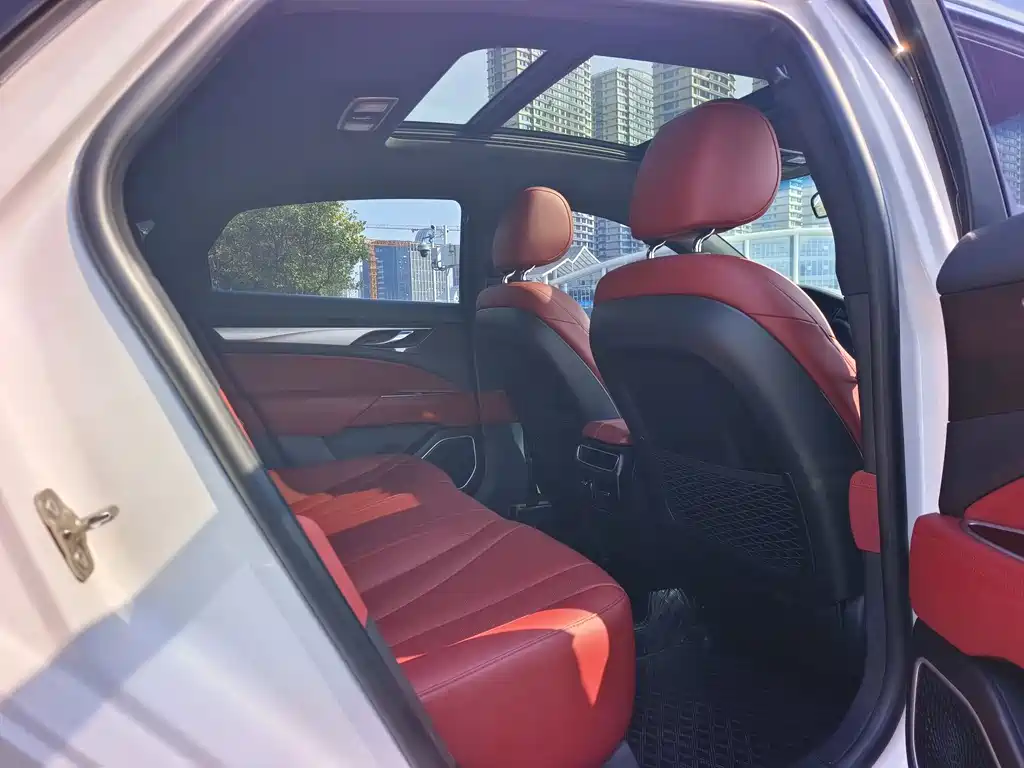 Geely Borui — фото 9