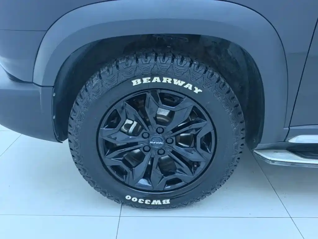 Haval Big Dog — фото 23