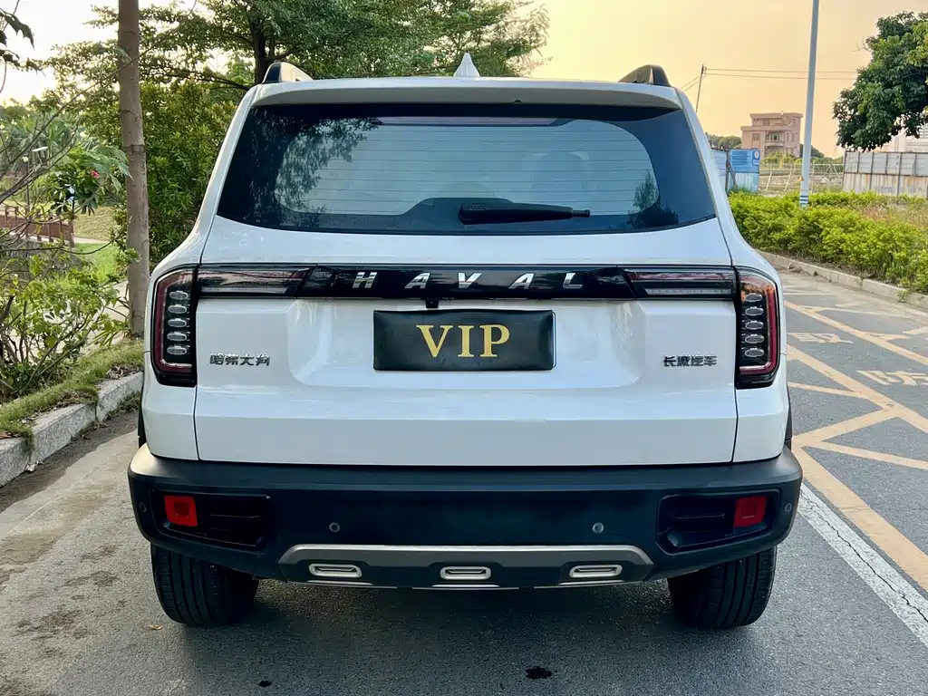 Haval Big Dog — фото 10