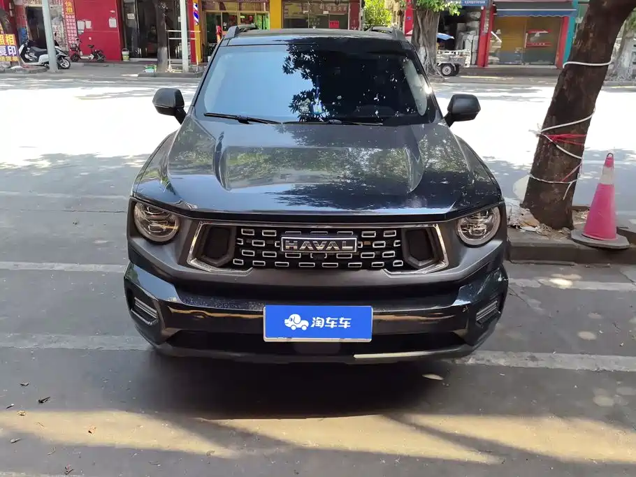 Haval Big Dog PLUS — фото 2