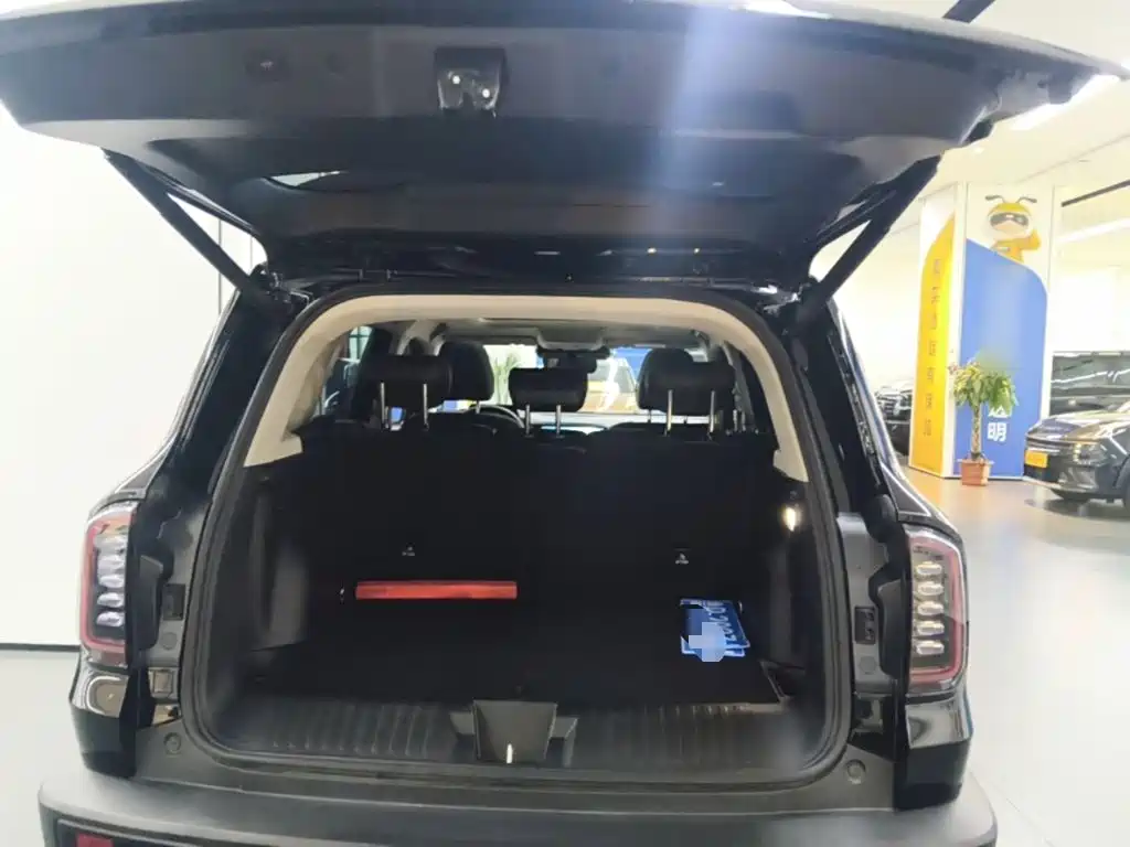 Haval Big Dog — фото 19