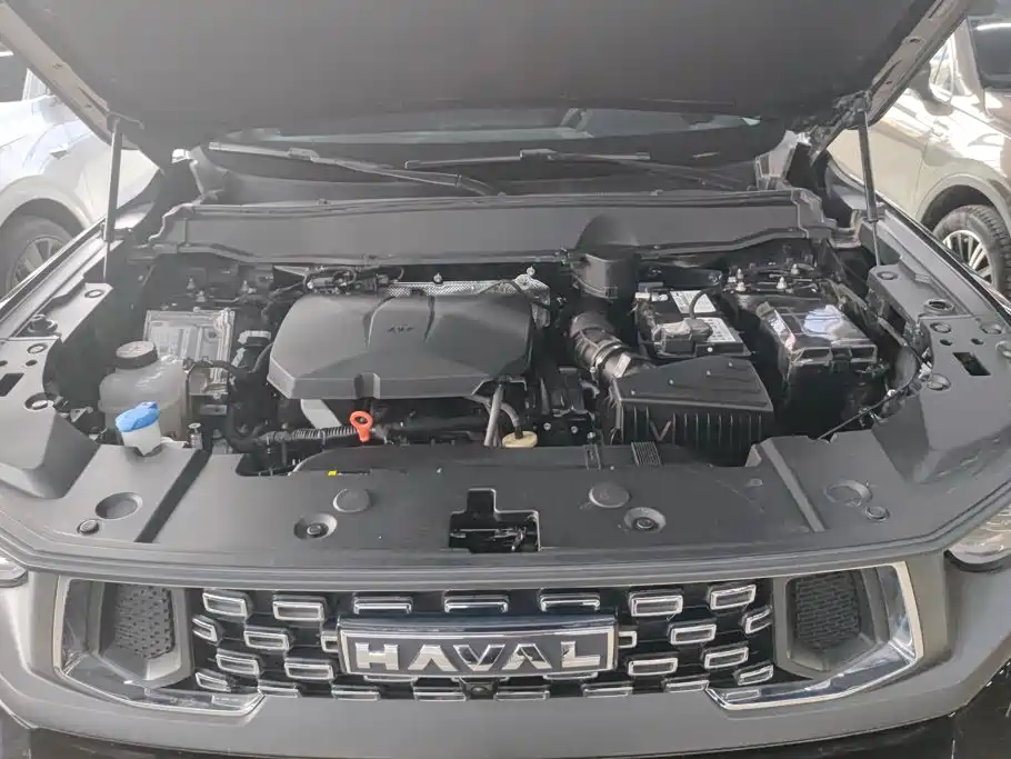 Haval Big Dog PLUS — фото 10