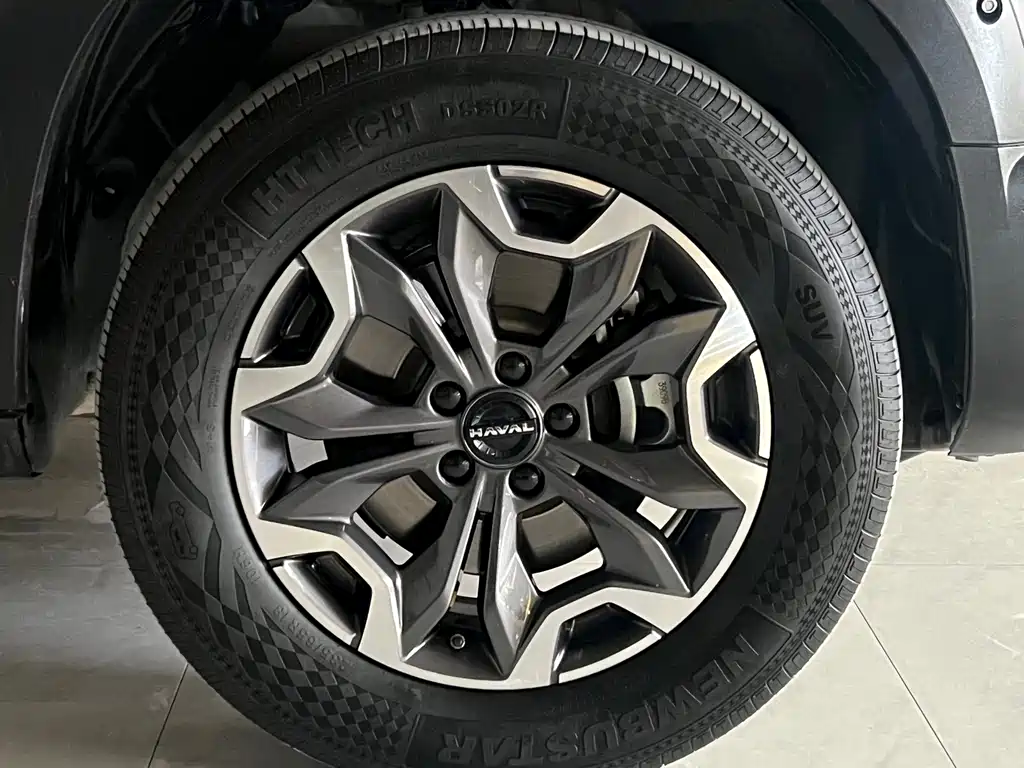 Haval Big Dog — фото 10