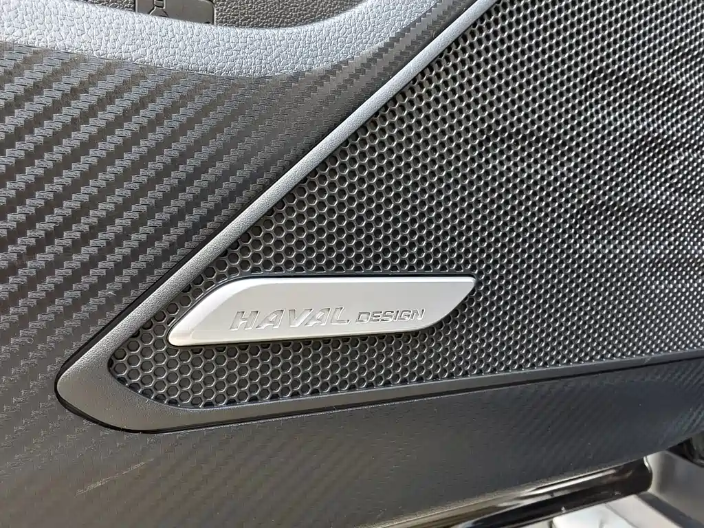 Haval Big Dog — фото 19