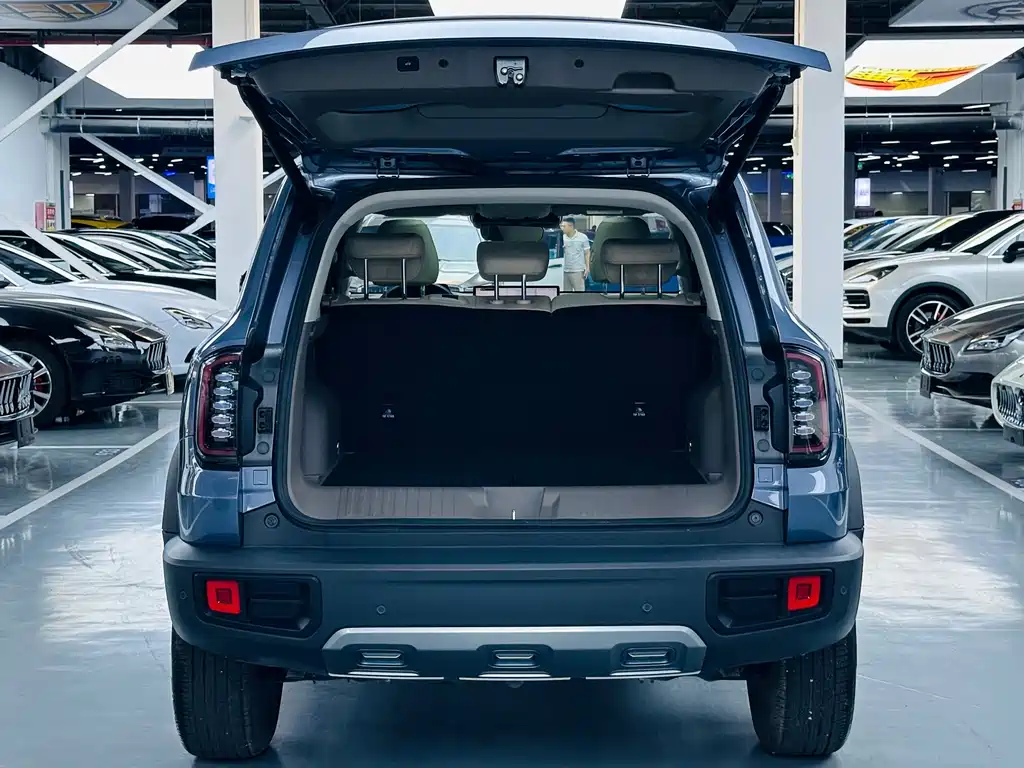 Haval Big Dog — фото 11