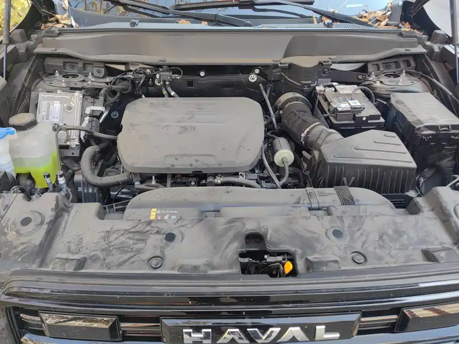 Haval Big Dog — фото 10