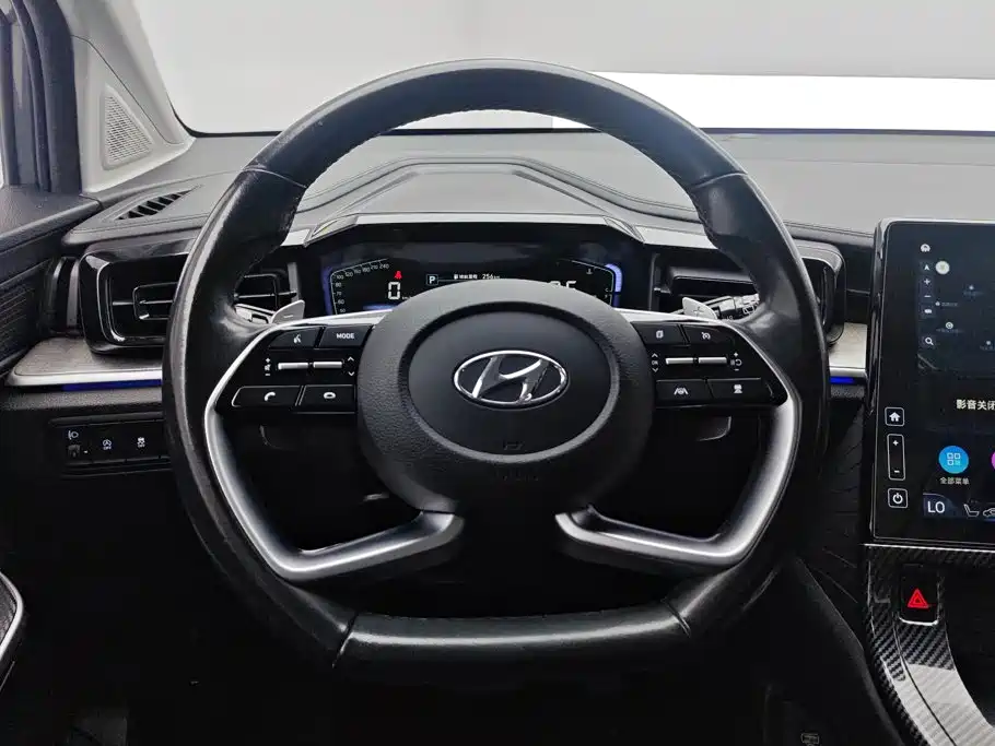 Hyundai Custo — фото 15