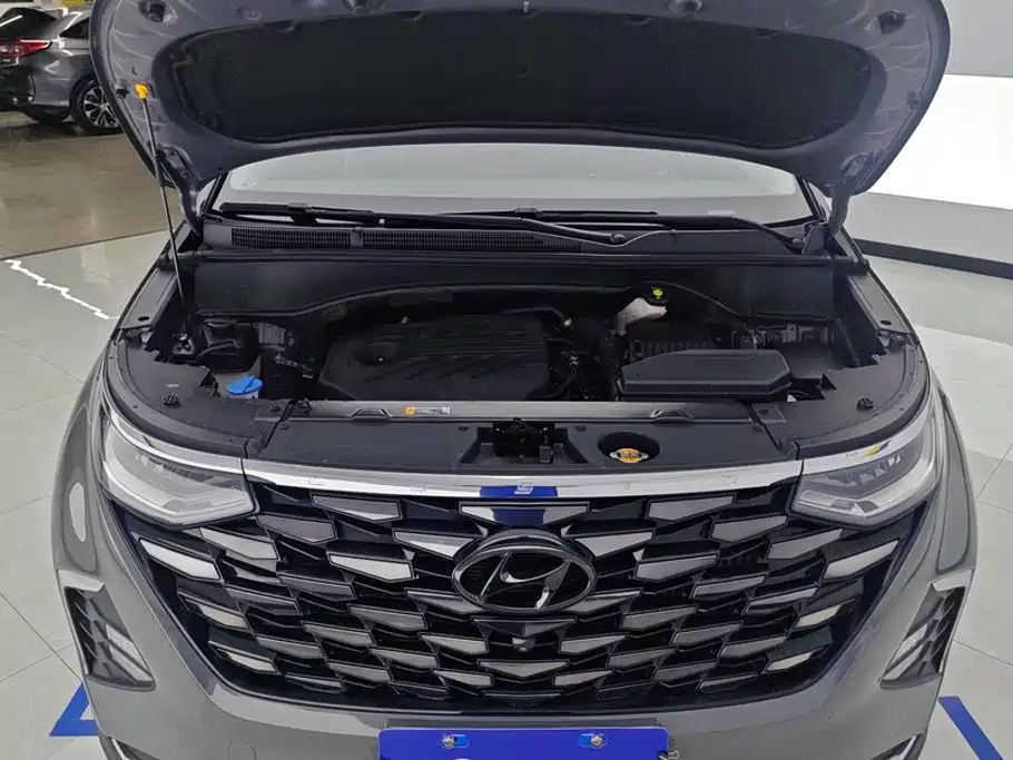 Hyundai Custo — фото 10