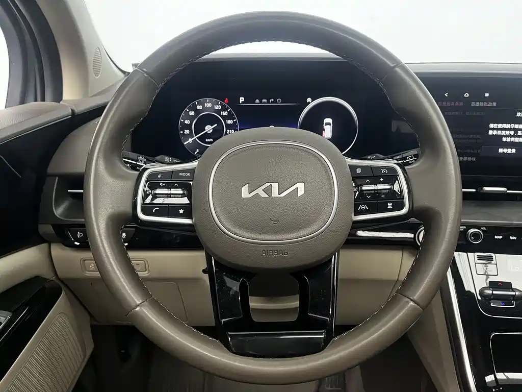 Kia Carnival — фото 14