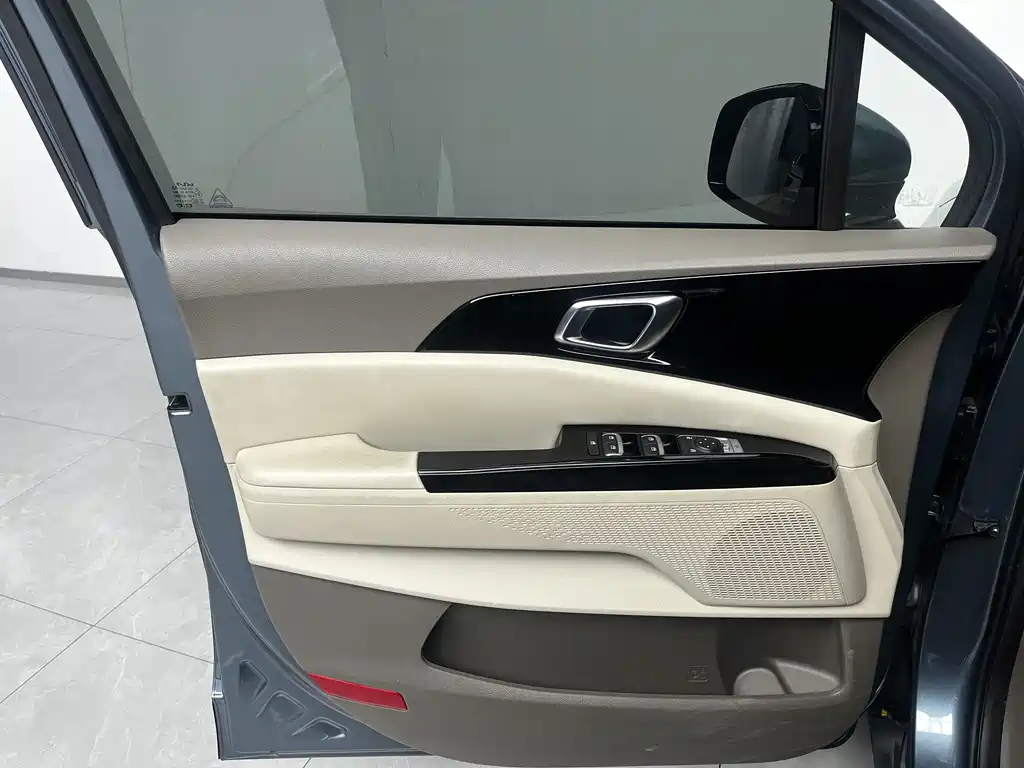 Kia Carnival — фото 15