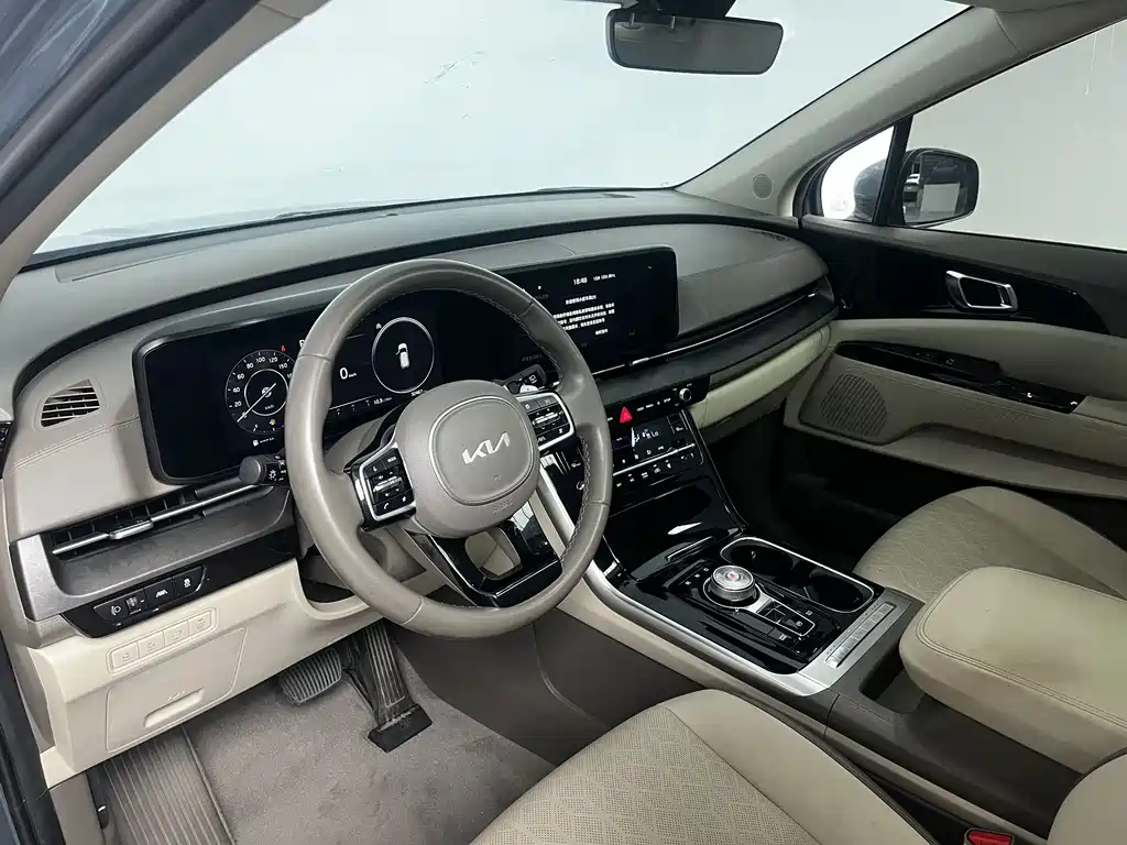 Kia Carnival — фото 10
