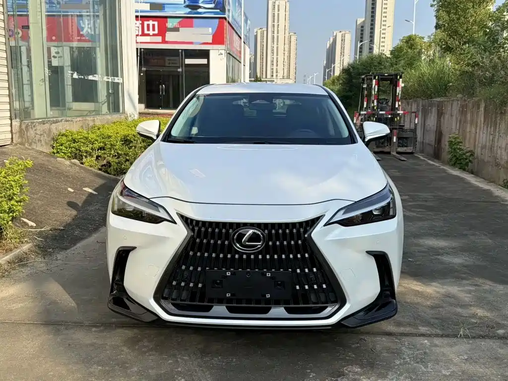 Lexus NX — фото 2