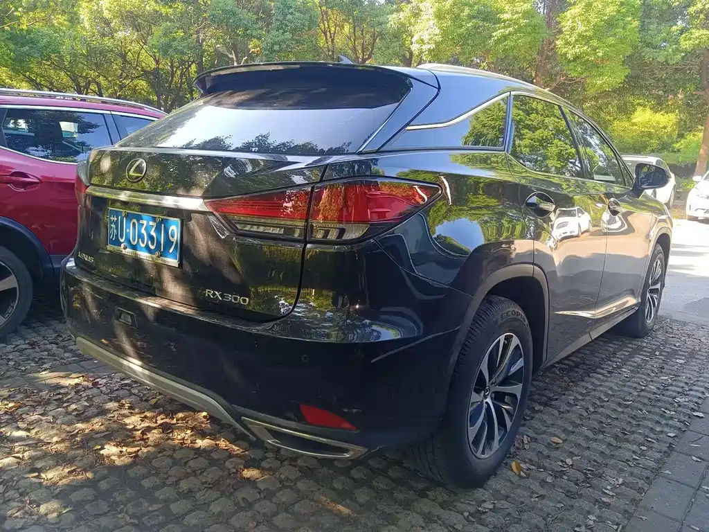 Lexus RX — фото 4