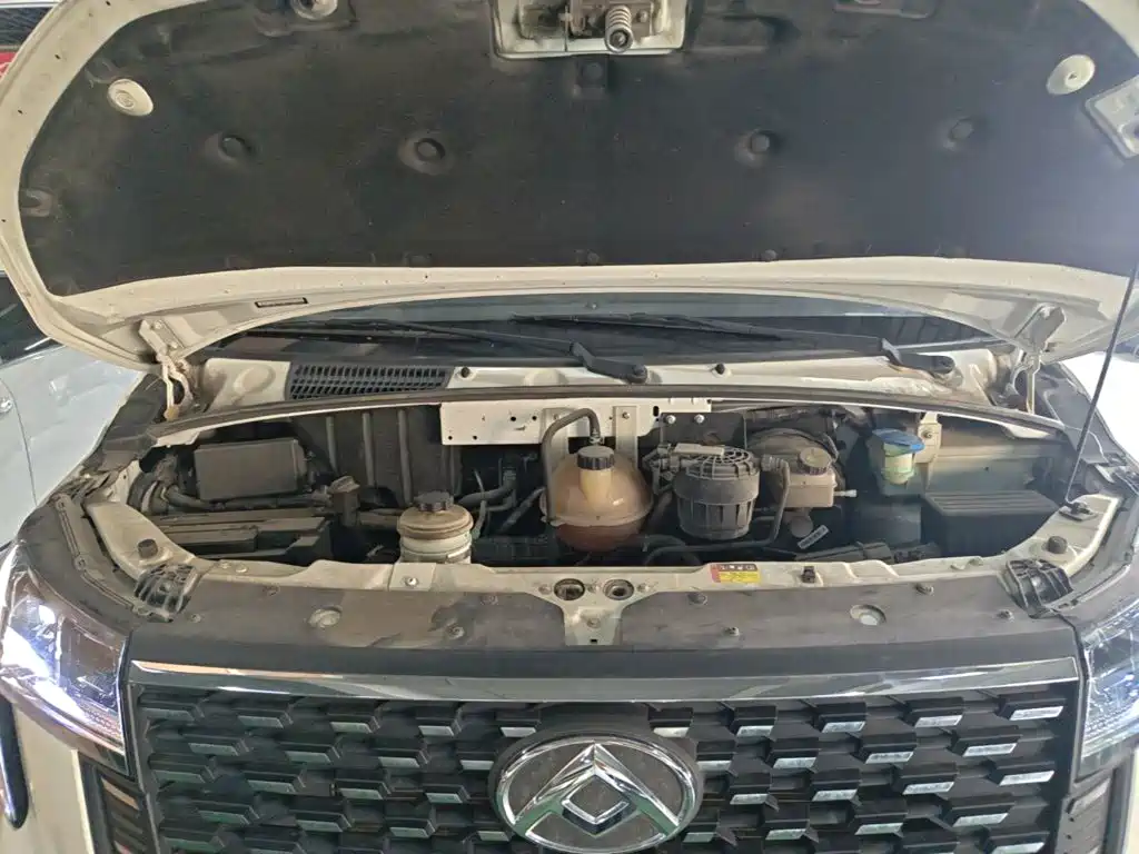 MAXUS V80 — фото 20