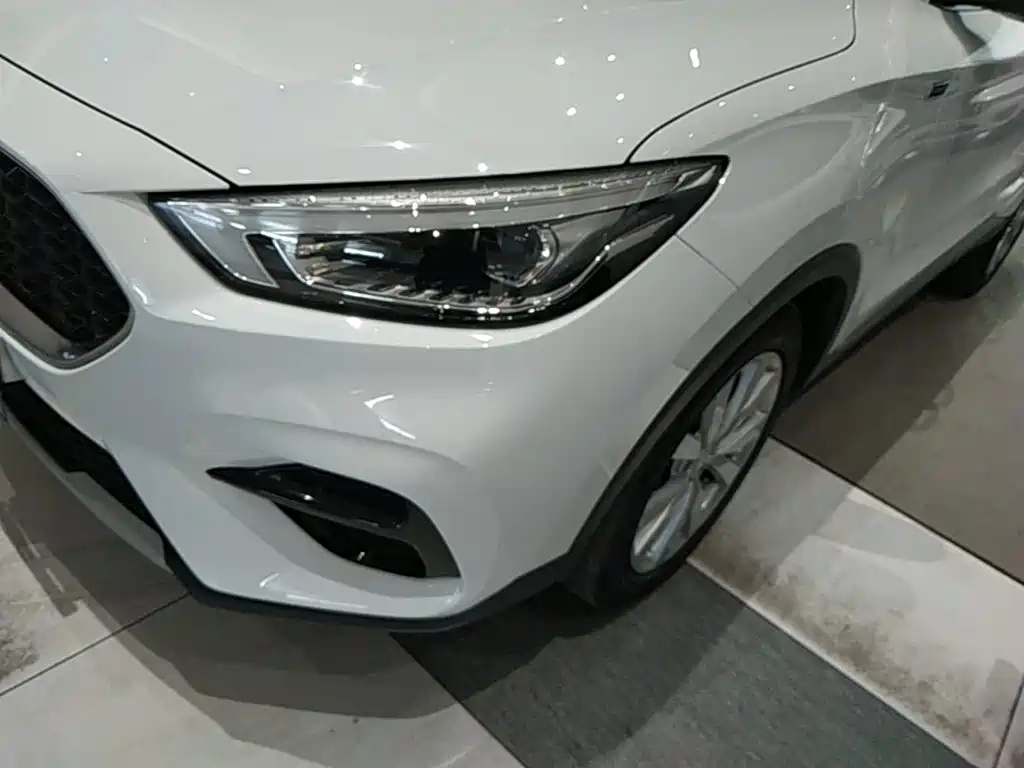 MG ZS — фото 24