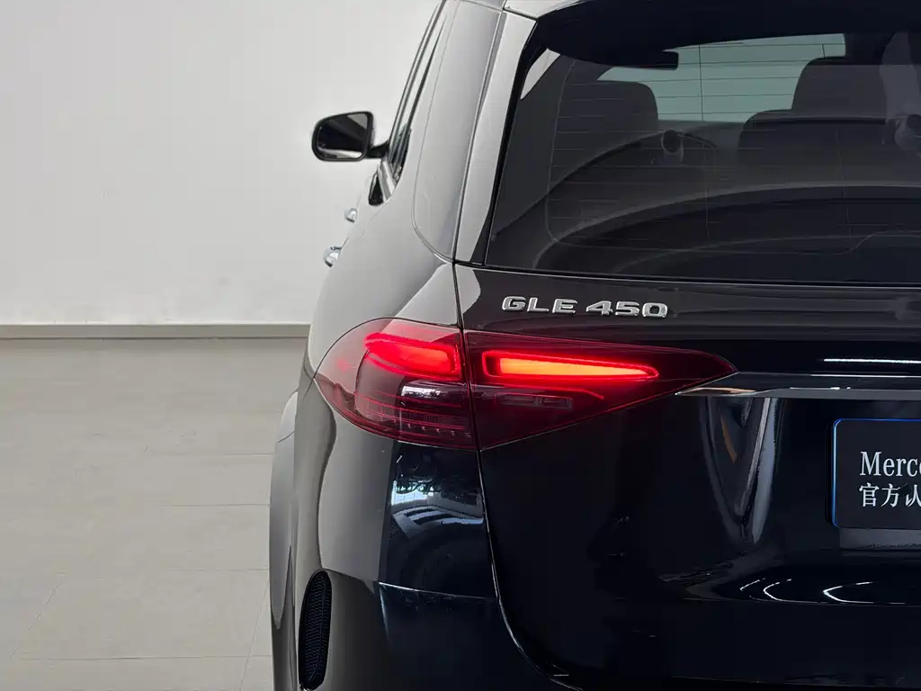 Mercedes-Benz GLE (Import) — фото 20