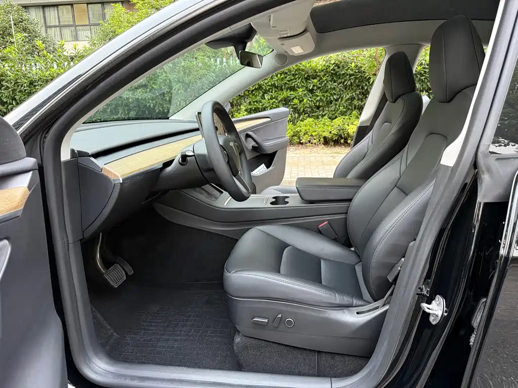 Tesla Model Y — фото 11