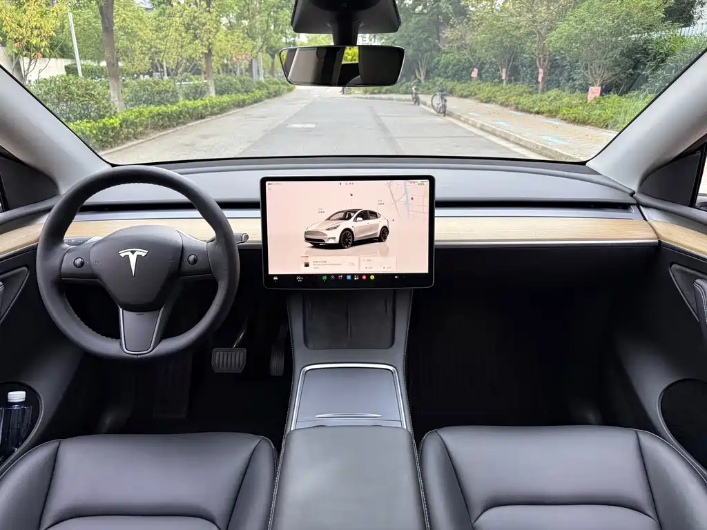 Tesla Model Y — фото 13