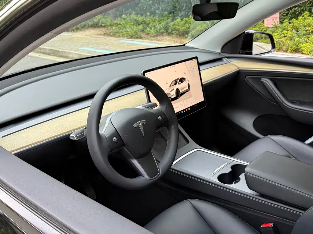 Tesla Model Y — фото 17