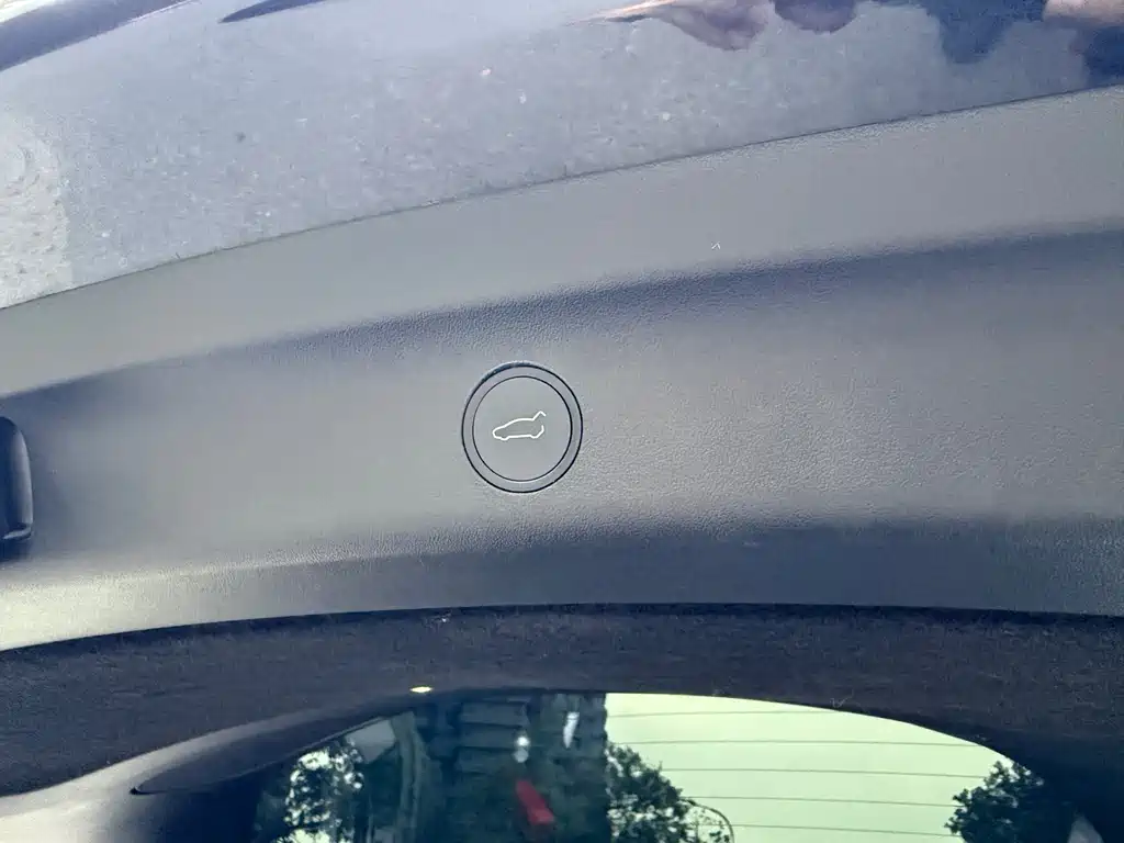 Tesla Model Y — фото 18